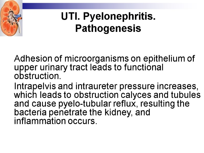 UTI. Pyelonephritis. Pathogenesis  Adhesion of microorganisms on epithelium of upper urinary tract leads